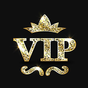 赞助VIP会员|书画资料主库4折积分下载 + 免积分会员书画资源库下载